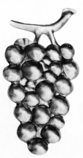 wrought-iron-grapes-stamped-large-cluster-main